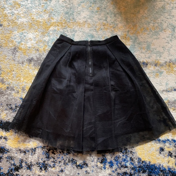 Black Mesh A-Line Skirt - Picture 2 of 8